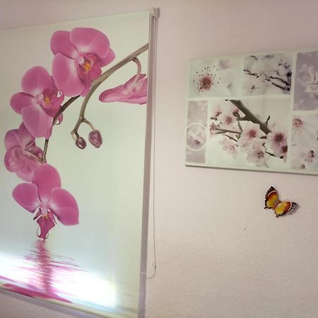 Villa La Casita De Ana. Puerta Valencia. Casco Antiguo Cuenca  Esterno foto